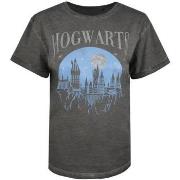 T-shirt Harry Potter TV1354