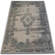 Tapis Rugsx Tapis Vintage Rosette 22206/085 gris 200x290 cm