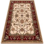 Tapis Rugsx Tapis en laine POLONIA TARI rubis léger 200x300 cm