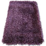 Tapis Rugsx Tapis LOVE SHAGGY modèle 93600 violet 200x290 cm