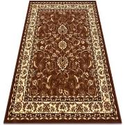 Tapis Rugsx BCF Tapis Morad KLASYK classique - marron 200x300 cm