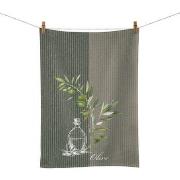 Torchons Ambiente Huile et Olive - Torchon en coton 50 x 70 cm