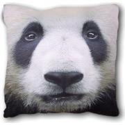 Coussins Puckator Grand coussin Panda