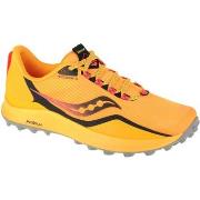 Chaussures Saucony Peregrine 12