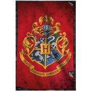 Affiches, posters Harry Potter TA356