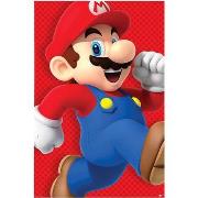 Affiches, posters Super Mario TA430