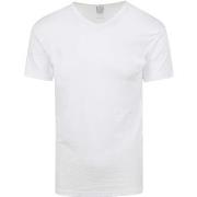 T-shirt Alan Red T-shirt Organic Col-V Blanc Lot de 2