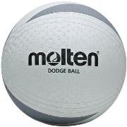 Ballons de sport Molten D2S1200