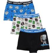 Boxers Minecraft NS6817