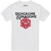 T-shirt Dungeons &amp; Dragons D20