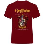 T-shirt Harry Potter HE239