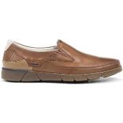 Mocassins Fluchos F1151 HABANA