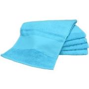 Serviettes et gants de toilette A&amp;r Towels RW6038