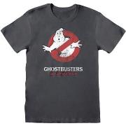 T-shirt Ghostbusters HE756