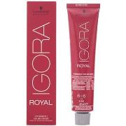 Colorations Schwarzkopf Igora Royal 6-6