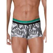 Boxers Code 22 Boxer Palm Tree Code22