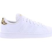 Baskets basses adidas Advantage Base