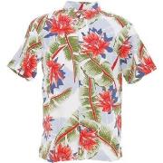 Chemise Superdry Vintage hawaiian s/s shirt optic