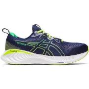 Chaussures Asics -