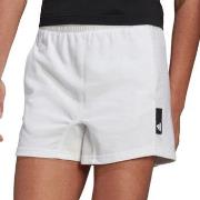 Short adidas HE1745