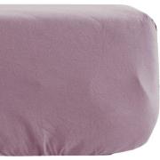 Draps housse Vent Du Sud Drap housse couleur prune en percale de coton...