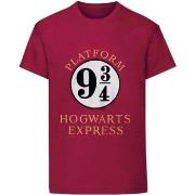 T-shirt enfant Harry Potter HE431