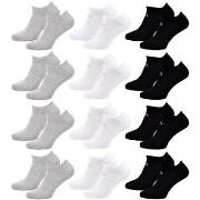 Chaussettes Sergio Tacchini Chaussettes Femme SNEAKER Lot de 12