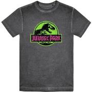 T-shirt Jurassic Park TV2141