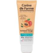 Protections solaires Corine De Farme Exfoliant visage à la poudre de N...