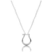 Collier Cleor Collier en acier