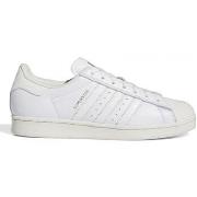 Baskets adidas Superstar adv