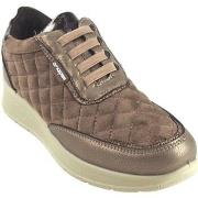 Chaussures Amarpies Chaussure femme 25451 atl taupe