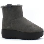 Chaussures Hoor Cortina Suede Grey CORTINA S