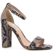 Chaussures Steve Madden Carrson Tan Snake CARRSON