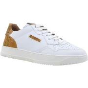 Chaussures Alviero Martini Sneaker Uomo Geo White ZU087-578B