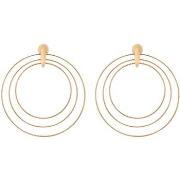 Boucles oreilles Orusbijoux Boucles D'oreilles Argent Doré Cercles Dia...