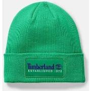 Chapeau Timberland TB0A2PTD ESTABLISHED 1973-H31 CELTIC GREEN