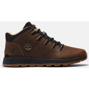 Baskets Timberland Sptk mid lace sneaker
