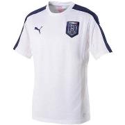 T-shirt Puma de football FIGC Italia Stadium 201