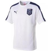 T-shirt Puma de football FIGC Italia Stadium 201