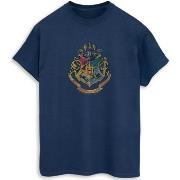 T-shirt Harry Potter BI1173