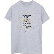 T-shirt Harry Potter Dobby Is Free