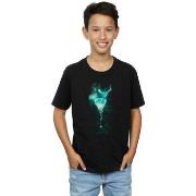 T-shirt enfant Harry Potter BI1643