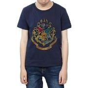 T-shirt enfant Harry Potter BI1128
