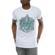 T-shirt Harry Potter BI1617