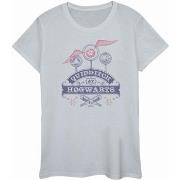 T-shirt Harry Potter Quidditch At Hogwarts