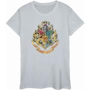 T-shirt Harry Potter BI1741