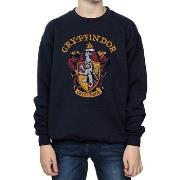 Sweat-shirt enfant Harry Potter BI796
