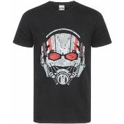 T-shirt Marvel BI516