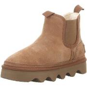 Bottes Oog -